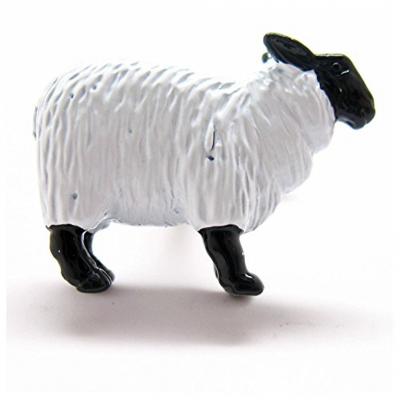 black and white sheep 1.jpg